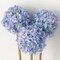 Sullivan's Allium Bunch, Blue Faux Floral Stem for Crafting, Weddings, Home and Holiday Decoration, 22 Inch